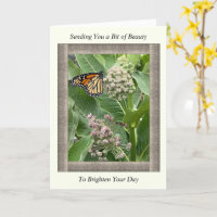 Inspiration Get Well-Well-Card mit Monarch Butterf