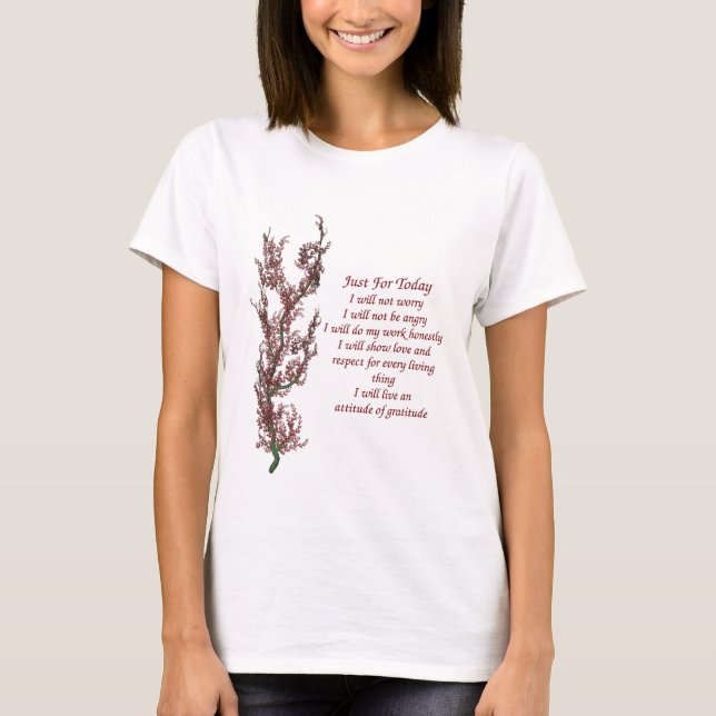 Inspiration nur für das heutige Zitat T-Shirt (Vorderseite)