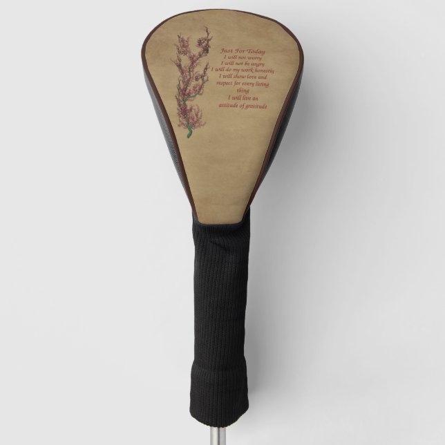 Inspiration nur für heute golf headcover (Vorderseite)