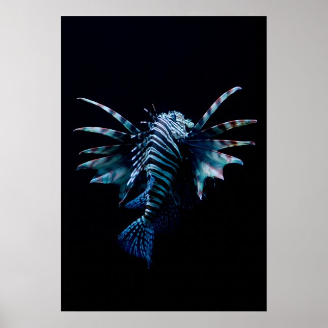 Inspiration Poster (Vorne)