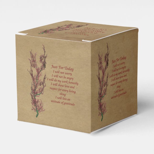 Inspiration Reiki nur für heute Geschenkschachtel (Vorderseite)