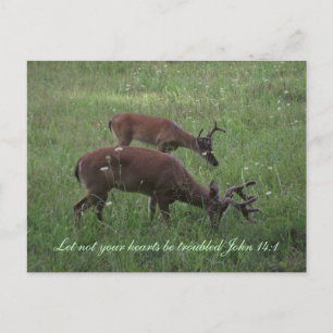 Inspiration scripture carte postale cerf Cades Cov