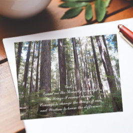 Inspiration Serenity Gebet Sunlit Forest Postkarte