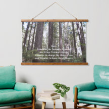 Inspiration Serenity Gebet Sunlit Forest
