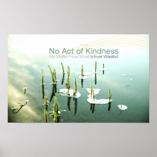 Inspiration und Kindheit von Aesop Poster (Vorne)