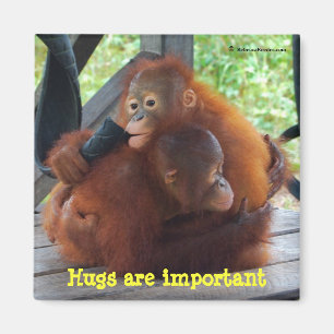 Inspiration von den Babys: Umarmungen sind wichtig Magnet