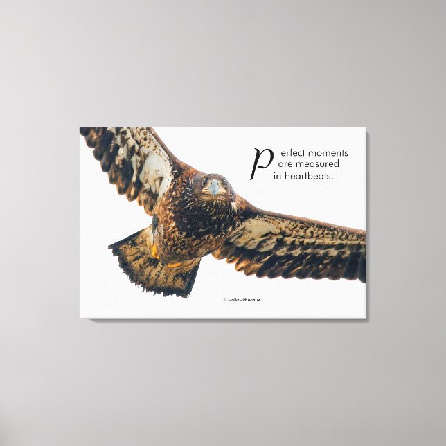 Inspiration Zitat Adler im Flug Leinwanddruck (Vorderseite)