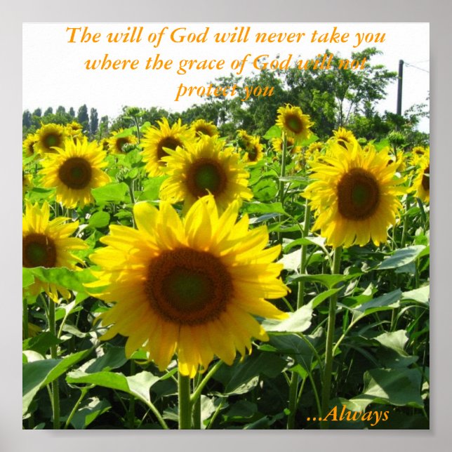 Inspirational Sunflower Poster (Vorne)