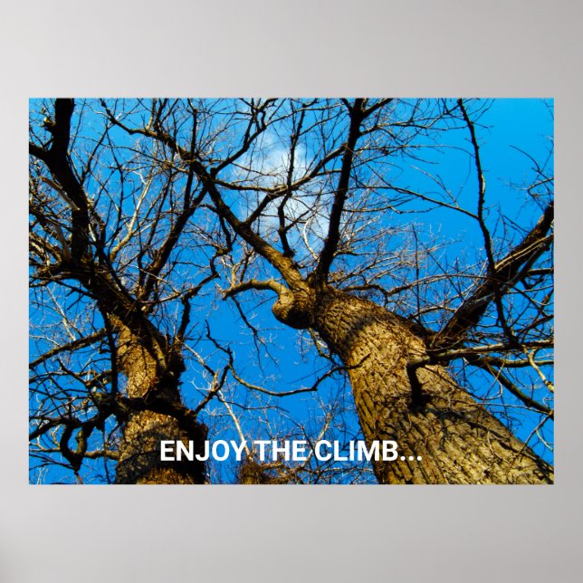 INSPIRATIONELLE NATURKUNST FOTO POSTER (Vorne)