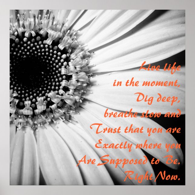 Inspirationelles Leben im Augenblick Poster (Vorne)