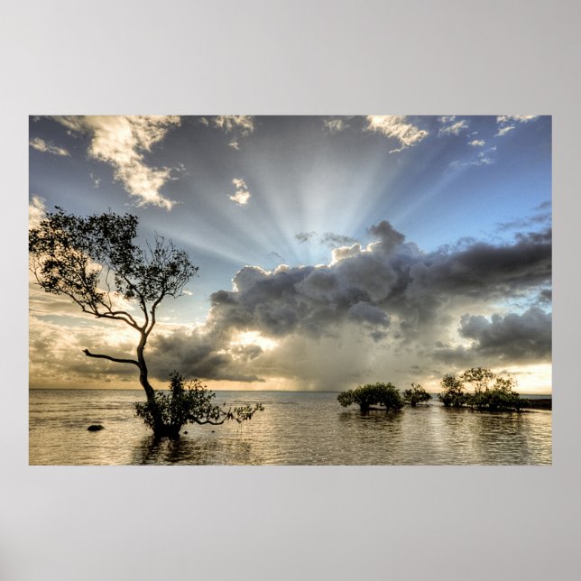 Inspirations- und Beruhigungspulver Poster (Vorne)