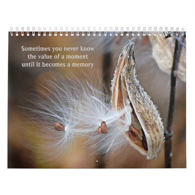 Inspirationsangebote für Fotografie Kalender (Titelbild)