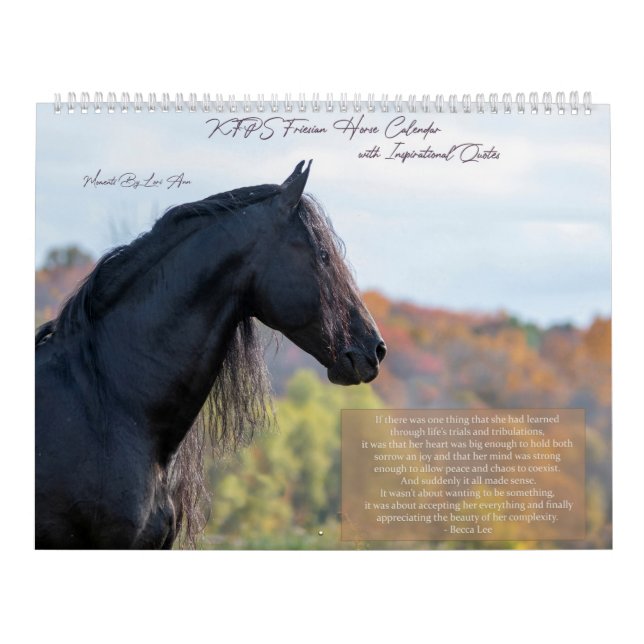 Inspirationsfrieskalender Kalender (Titelbild)