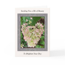 Inspirationshet-Well-Card mit rosa Hydrangea