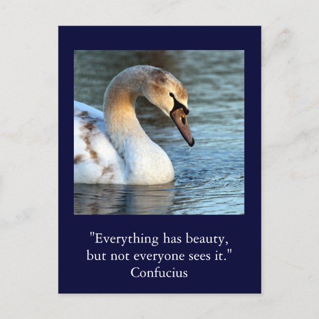 Inspirationskarte Zitat Konfuzius Schönheit 1 Postkarte (Vorderseite)