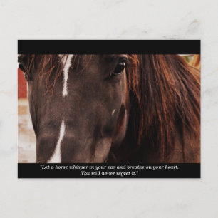 InspirationsPferdepostkarte Postkarte