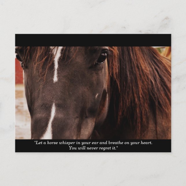 InspirationsPferdepostkarte Postkarte (Vorderseite)
