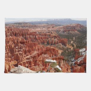Inspirationspunkt am Bryce Canyon I Geschirrtuch