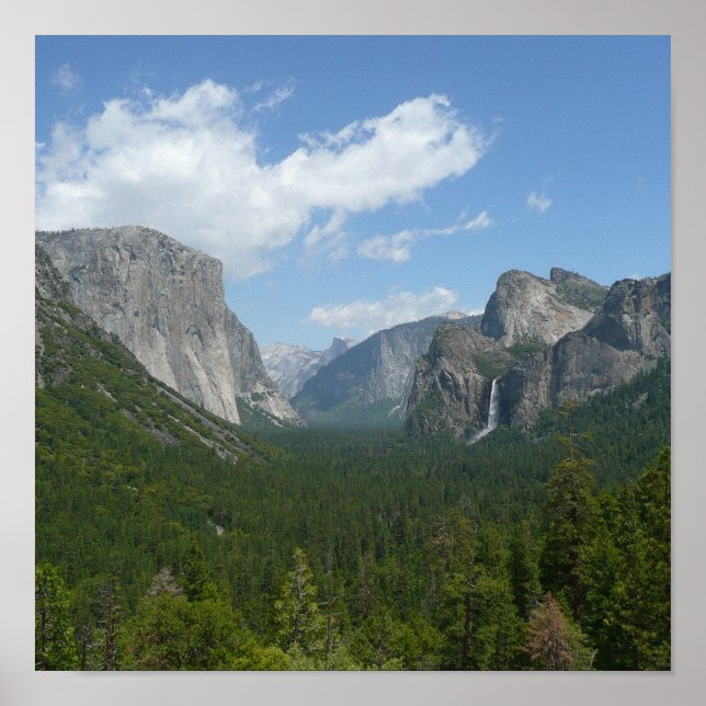 Inspirationspunkt im Yosemite-Nationalpark Poster (Vorne)
