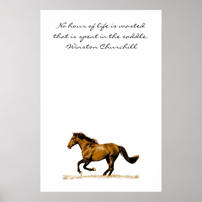 Inspirationsquelle für Pferde Poster (Vorne)