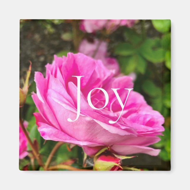Inspirationsrosa Blumenfreude Magnet (Vorne)
