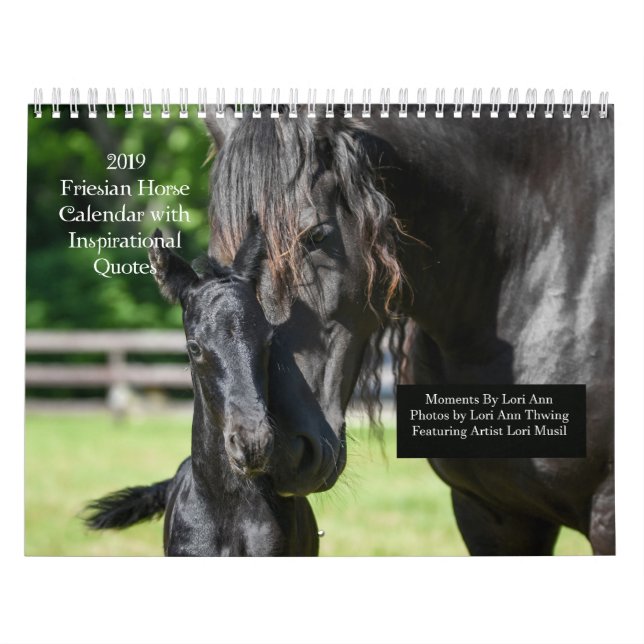 Inspirationsskalender für Friesische Pferde Kalender (Titelbild)