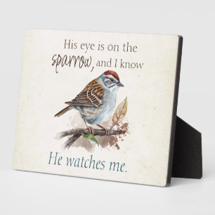 Inspirationsziffer: Sein Auge ist am Sparrow Fotoplatte