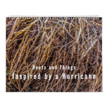 Inspiré par un calendrier des ouragans