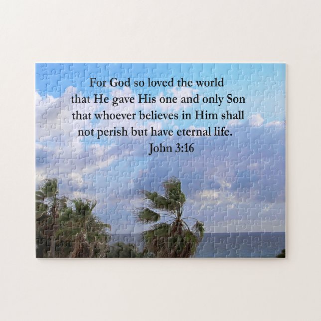 INSPIRIER JOHN 3:16 FOTO (Horizontal)