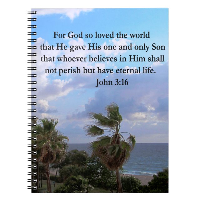 INSPIRIER JOHN 3:16 FOTO NOTIZBLOCK (Vorderseite)