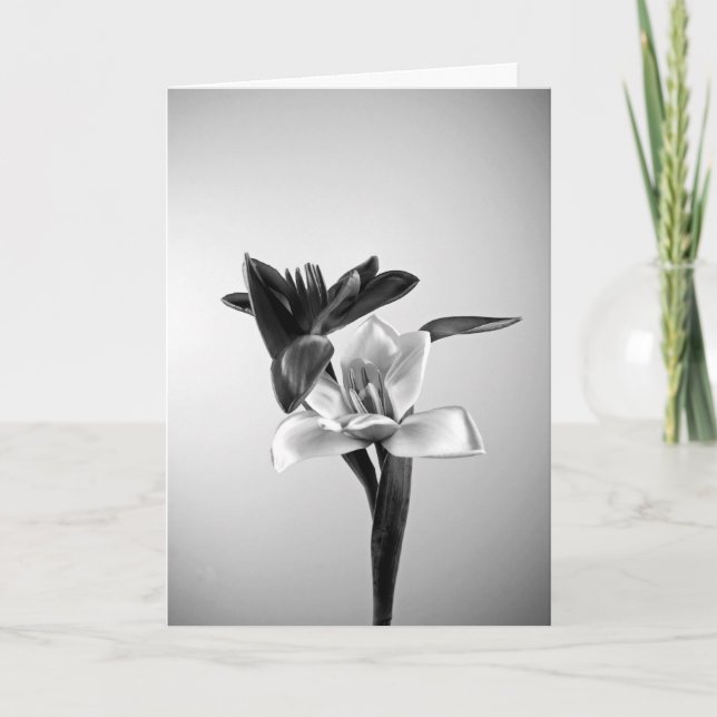Inspirieren der Tulpen Feiertagskarte (Vorderseite)