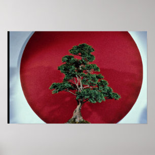 Inspirieren des Bonsaisbaums Poster