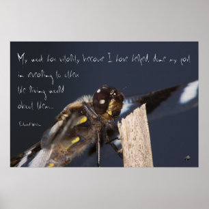 Inspirierend Dragonfly-Poster Poster