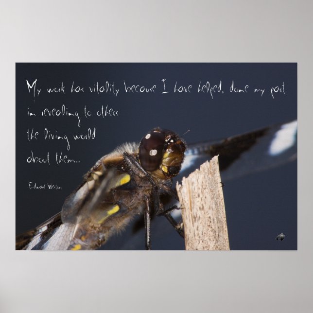 Inspirierend Dragonfly-Poster Poster (Vorne)