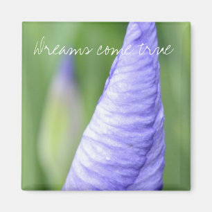 Inspirierend Iris Magnet