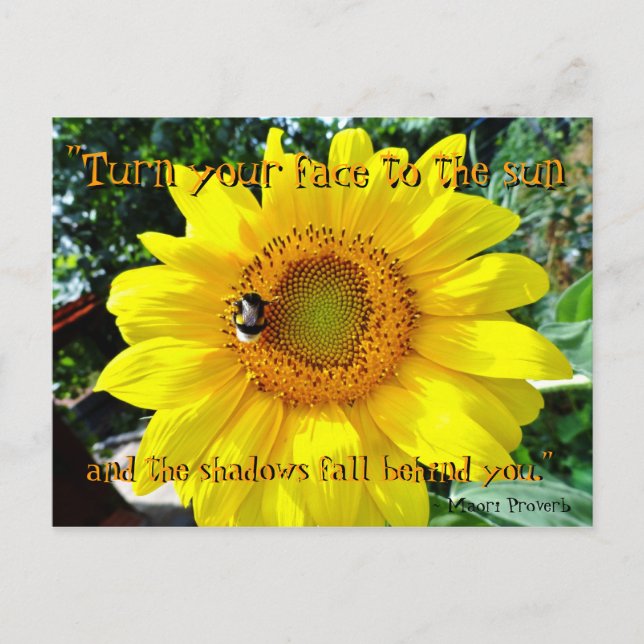 Inspirierend Postkarte der Sonnenblume/Maori- (Vorderseite)