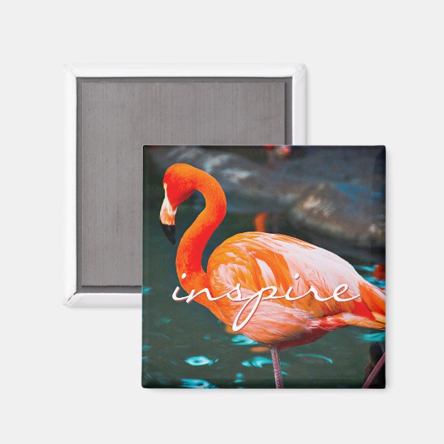 Inspiriert Script Rosa Flamingo Foto Modernes Stil Magnet (Vorderseite/Rückseite)