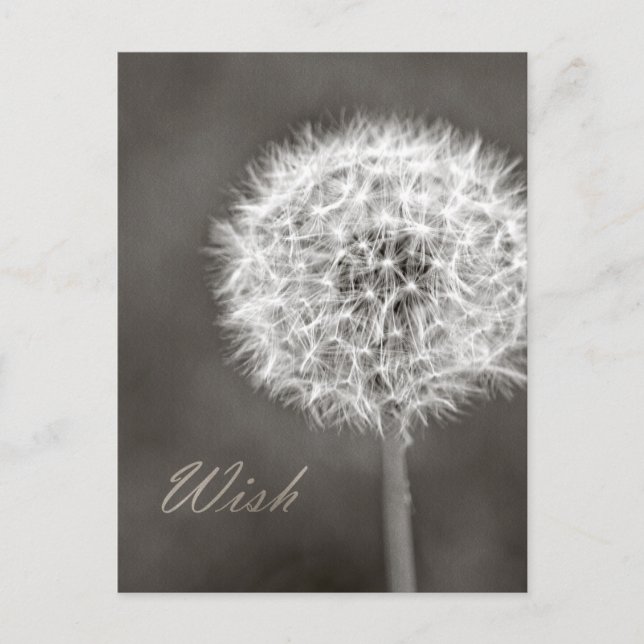 Inspiriert Wish Dandelion Postkarte (Vorderseite)