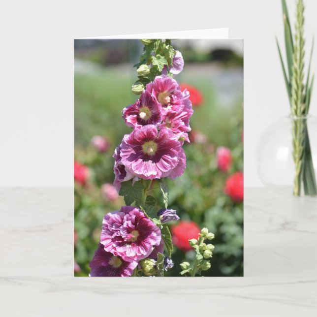 Inspirierte Hollyhock-Blumen Karte (Vorderseite)
