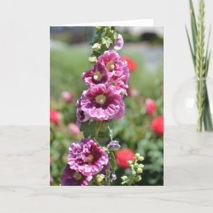 Inspirierte Hollyhock-Blumen Karte