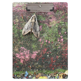 Inspirierte Motte Klemmbrett