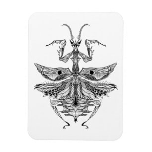 Inspirierter betender Mantis Magnet