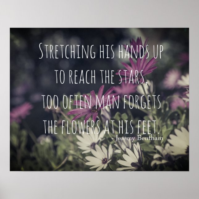 Inspiring Jeremy Bentham Quote Poster (Vorne)