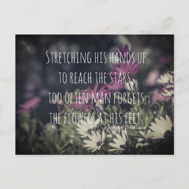Inspiring Jeremy Bentham Quote Postkarte (Vorderseite)