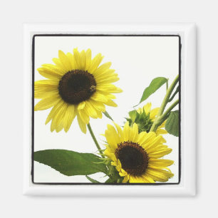 instagram Fotomagnet Magnet