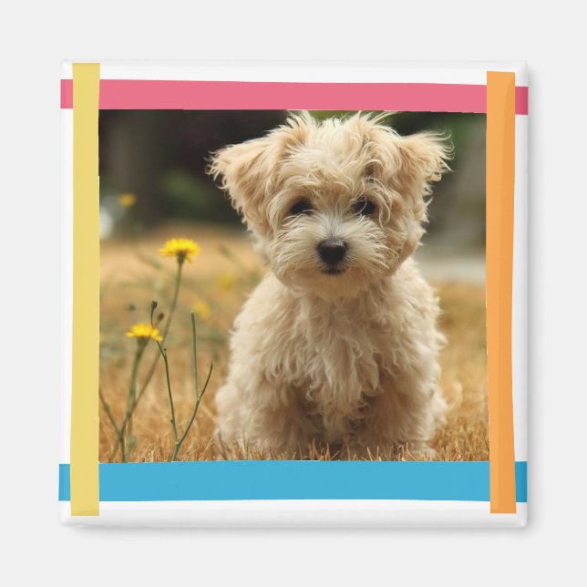 Instagramm-Foto-Magnet Magnet (Vorne)