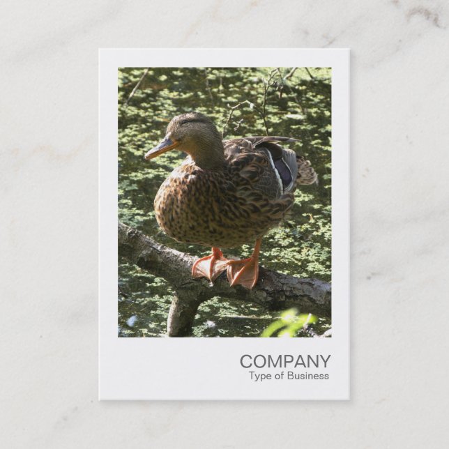 Instant Foto 010 - Happy Duck Visitenkarte (Vorderseite)