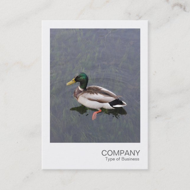 Instant Foto 012 - Mallard Duck Visitenkarte (Vorderseite)