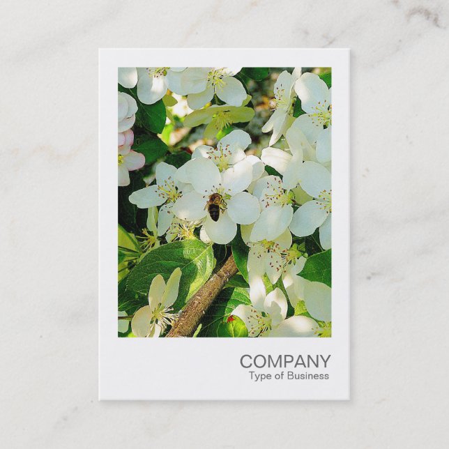 Instant Foto 018 - Cherry Blossom Honey Visitenkarte (Vorderseite)