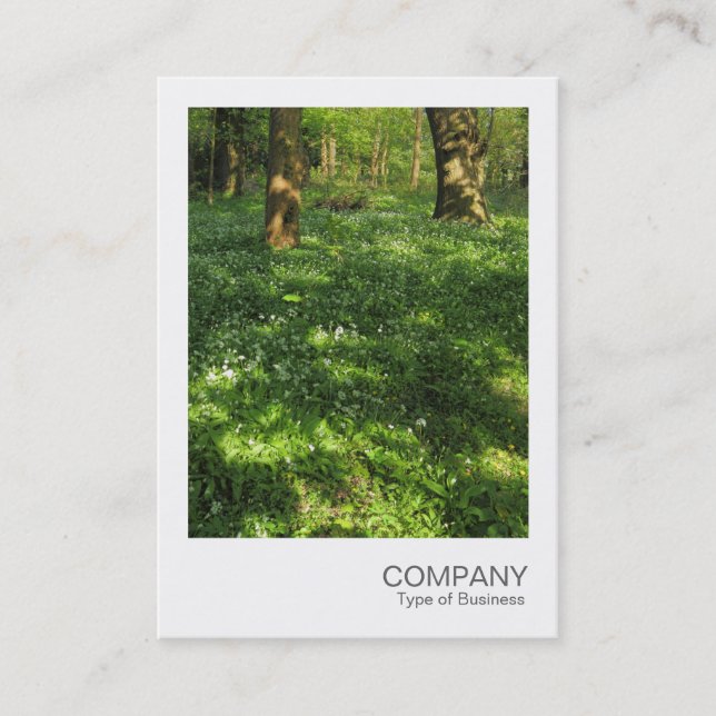 Instant Foto 073 - Frühjahr im Wald Visitenkarte (Vorderseite)